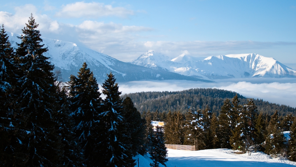 Maison à vendre à Villard-de-Lans entre particulier avec vue montagne