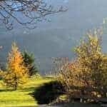 Immobilier Hautes-Alpes : Maison à La Roche-des-Arnauds