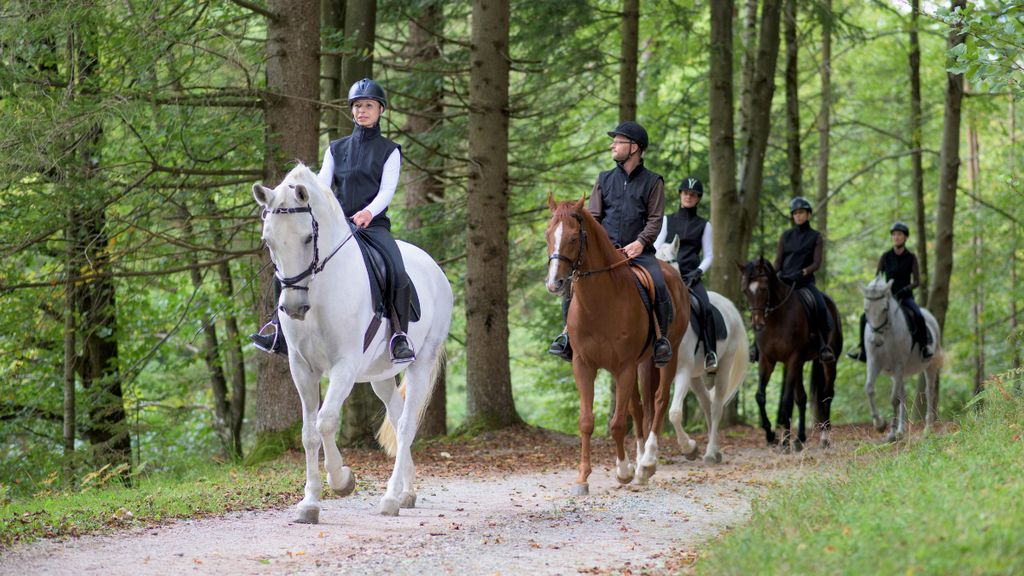 VTT sur des Pistes 