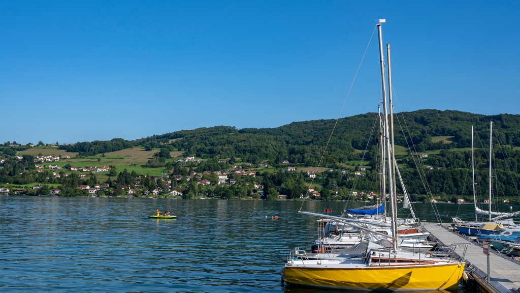 Les Atouts Immobiliers de la Région Grenobloise