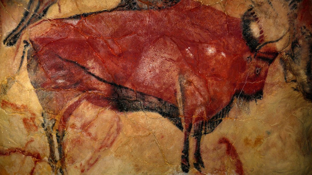 Découvrir le patrimoine local au Musée de la Préhistoire