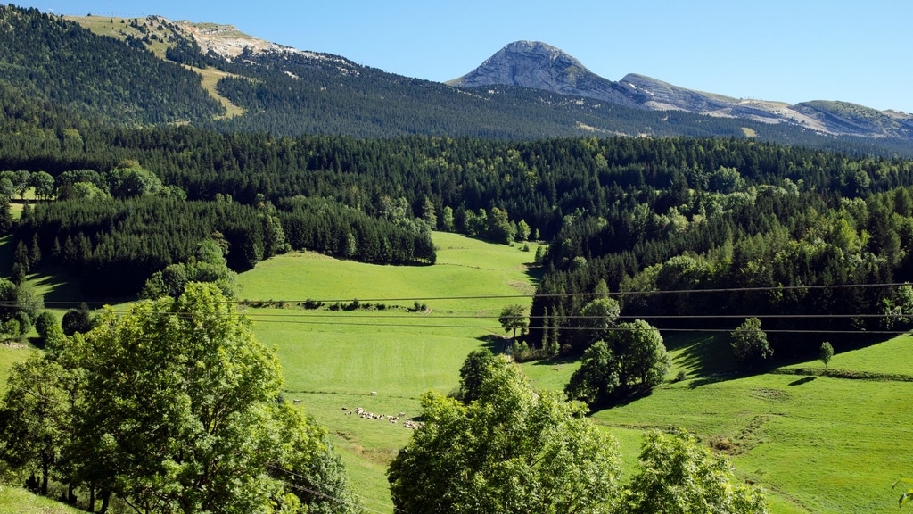 Chalets authentiques en montagne