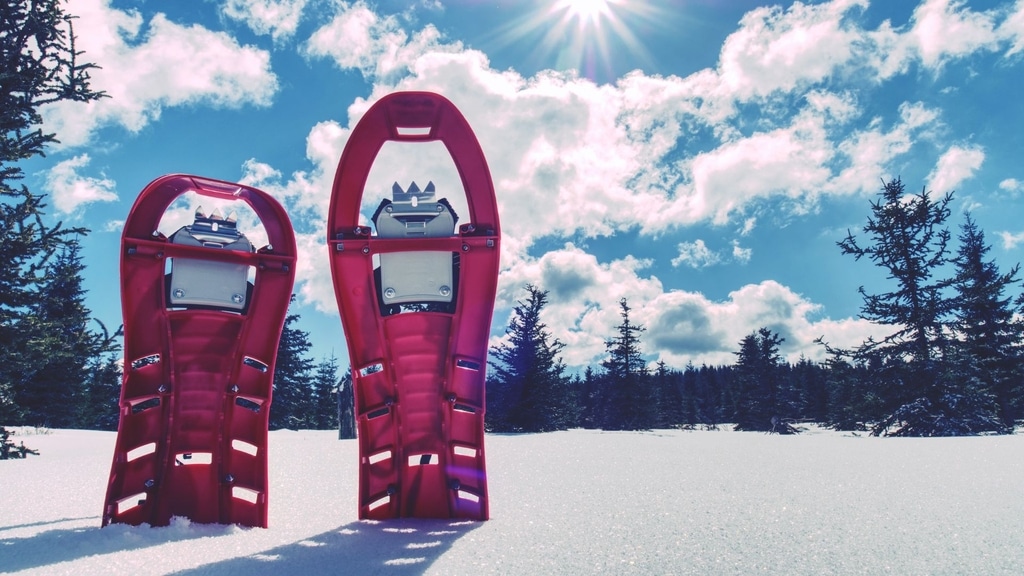 Une destination prisée pour les amoureux de la nature