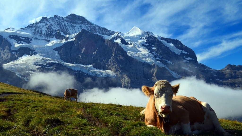 L’Histoire Fascinante du Plateau Matheysin : De l’Antiquité à Aujourd’hui